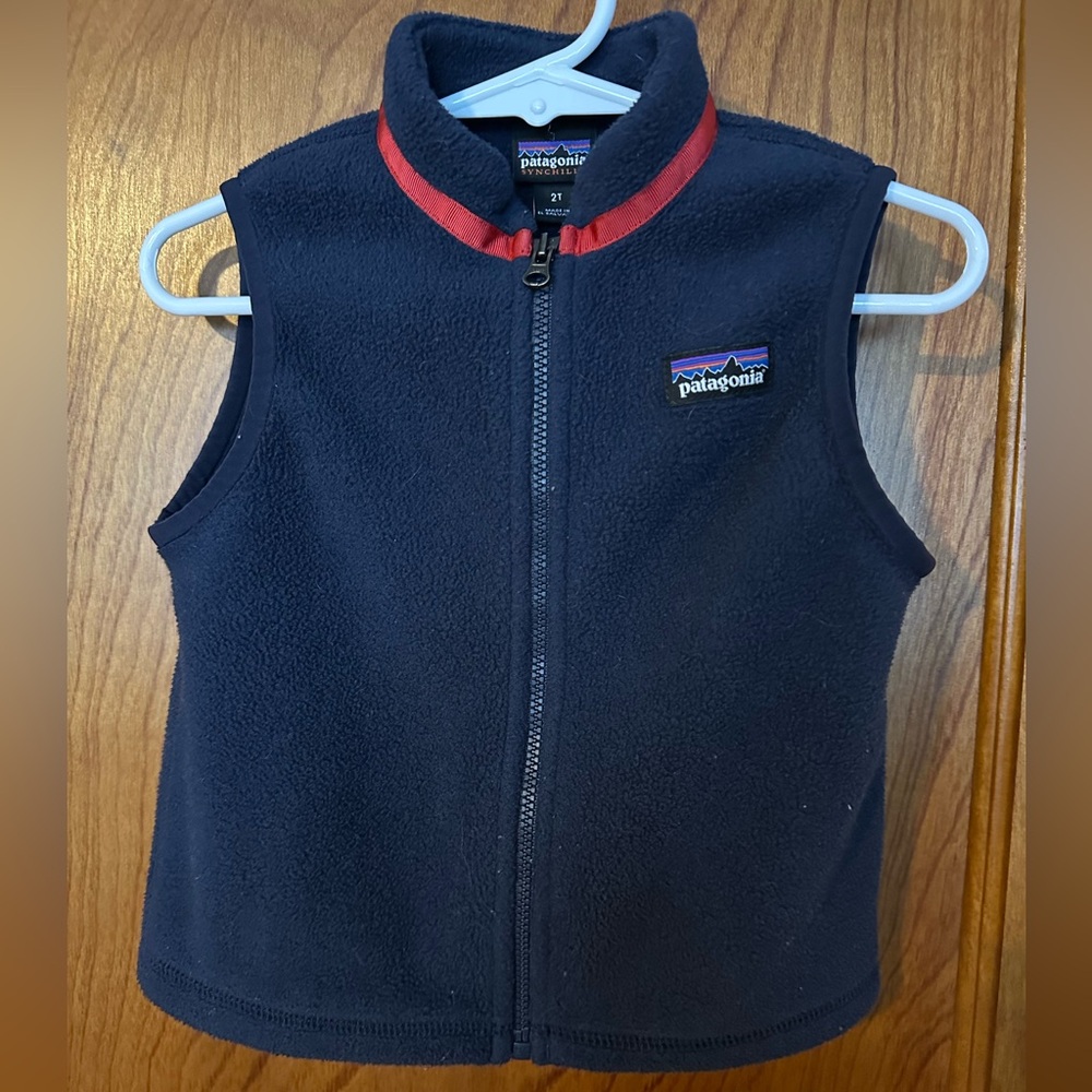2T Patagonia Vest